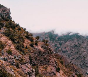 Compare Aluguel de Carros La Gomera