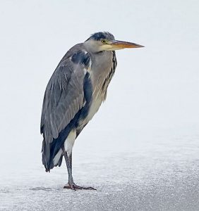 Aluguer de carro em Karlskrona