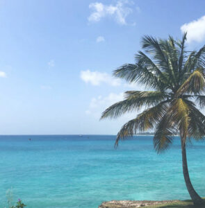 Aluguer de carros baratos em Barbados