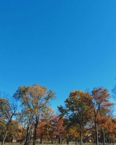 Aluguel de Carros em Indiana