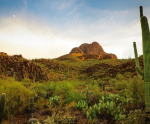 Aluguer de carro em Tucson