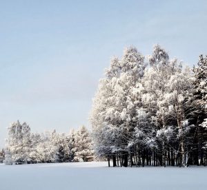 Aluguer de carro em Luleå