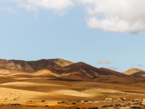 Aluguel de Carros Aeroporto de Fuerteventura